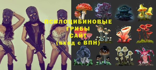 наркотики Алексин