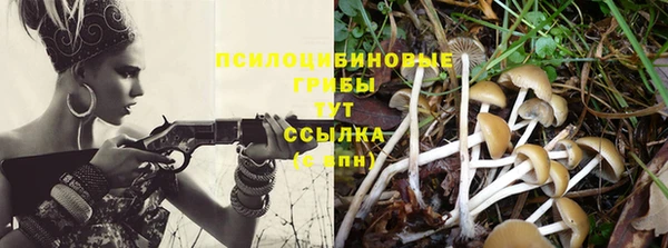 наркотики Алексин