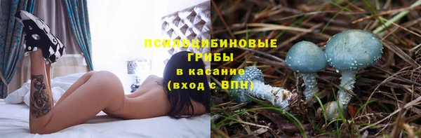 эйфоретик Алзамай
