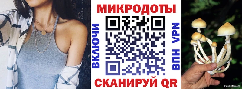 дарнет шоп  Жуковский  Псилоцибиновые грибы Psilocybine cubensis 